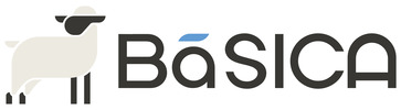 Basica Auto Insurance